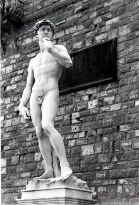 Daniele Zucchi - David